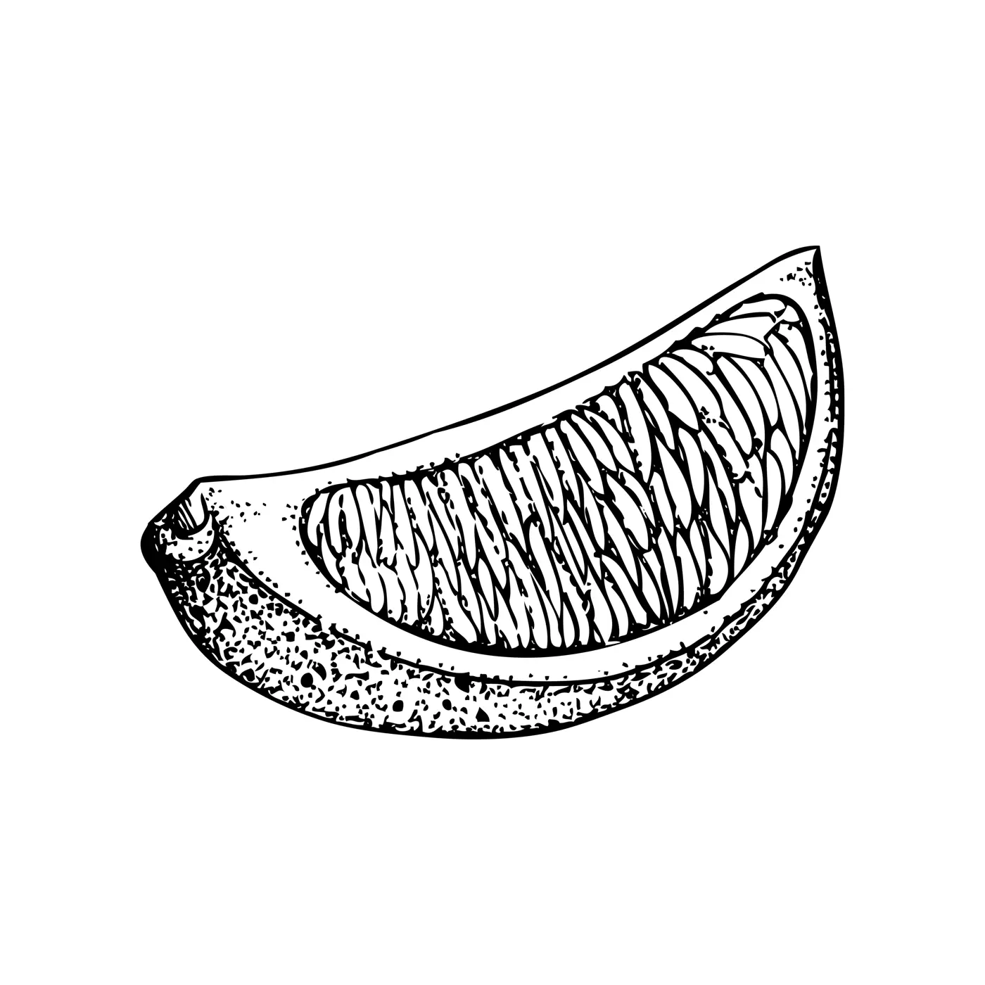 Vintage lime sketch. Citrus fruit hand-drawn vector illustration. Exotic plant drawing in engraved style. Botanical design element. NOT AI-generated Illustration